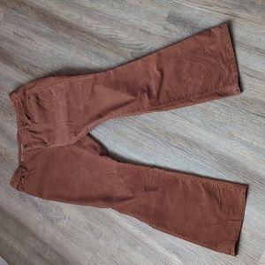 Ann Taylor Loft corduroy